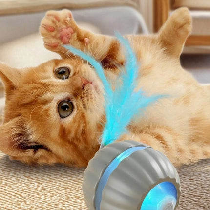 0385b5e1-7138-45db-94f0-b50cda25920d-Max-Origin