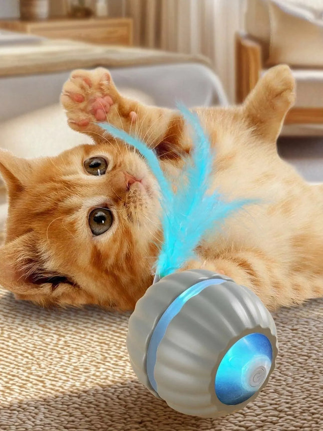 0385b5e1-7138-45db-94f0-b50cda25920d-Max-Origin