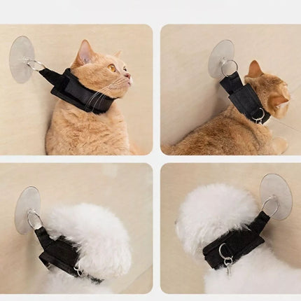 06b75217-be12-4383-9256-5dfa143e5454-Max-Origin