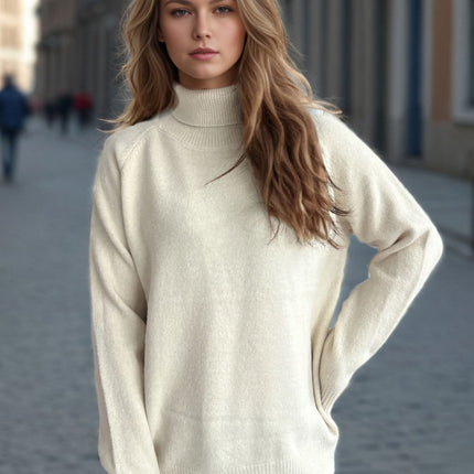 Solid Color Turtleneck Long Sleeve Sweater