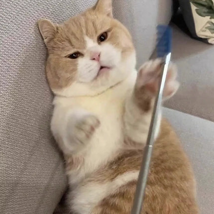 13433314-fa3d-4130-8e1e-1b0fa7dfc4fb-Max-Origin