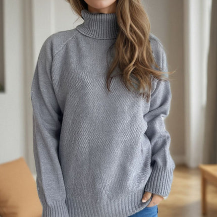 Ribbed Turtleneck Raglan Sleeve Sweater