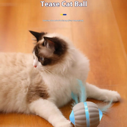 2b562149-365a-471b-bd70-fa977cce3093-Max-Origin