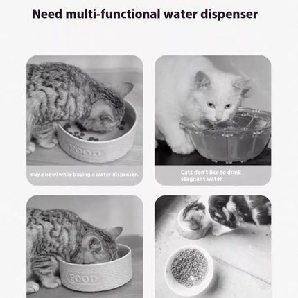 2e37d3e5-1469-451b-8006-b79b28eb2339-Max-Origin