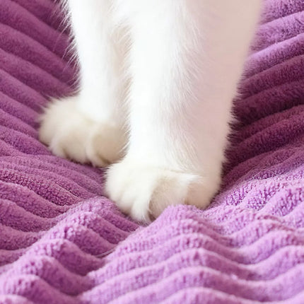 2fa7b5ec-2e3e-4f38-b561-063443391164-Max-Origin