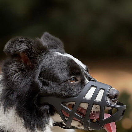 306b34f5-d768-4e60-bebb-f6b46e7a8fa1-Max-Origin