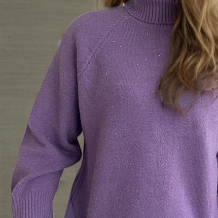 Turtleneck Raglan Sleeve Sweater