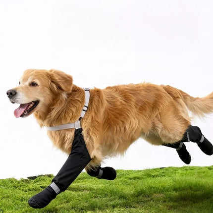 36c412c3-795b-409c-98fa-79e6e01dcd44-Max-Origin