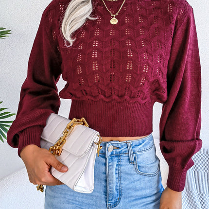 Openwork Mock Neck Long Sleeve Cropped Sweater