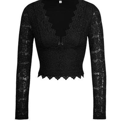 Devine V-Neck Long Sleeve Lace Top