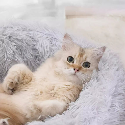 4387c06d-0a28-4015-9886-cd0de8509806-Max-Origin