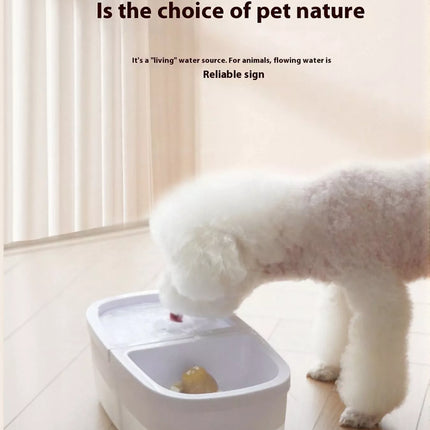 4497a899-8453-4394-ba2b-1c904c9871b3-Max-Origin