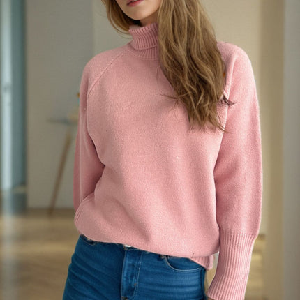 Turtleneck Raglan Sleeve Sweater