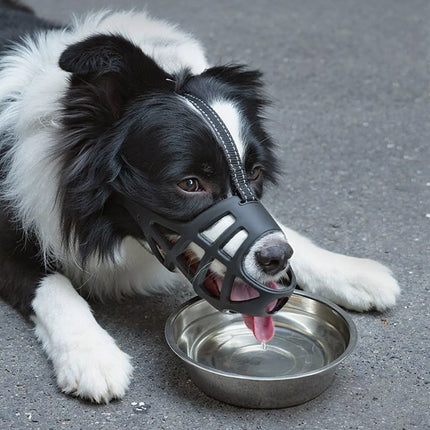 5ab06521-5810-45ef-b387-3ddce2c267e9-Max-Origin