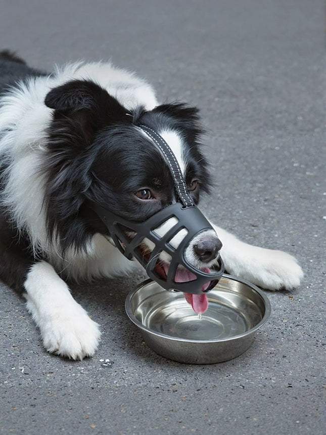 5ab06521-5810-45ef-b387-3ddce2c267e9-Max-Origin