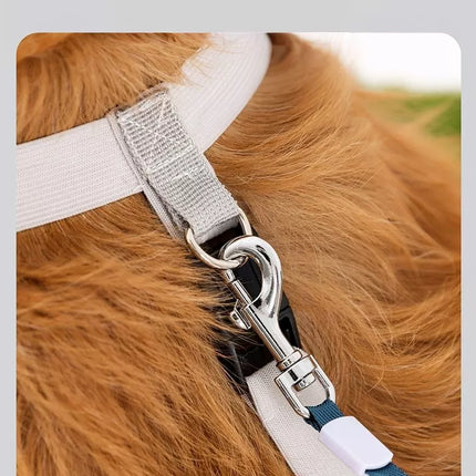 5edacaca-a800-4dfa-b79d-97e7979605e4-Max-Origin