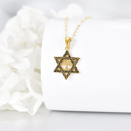 14K Gold Cross in Star of David Pendant Necklace Judaica s for Men & Women
