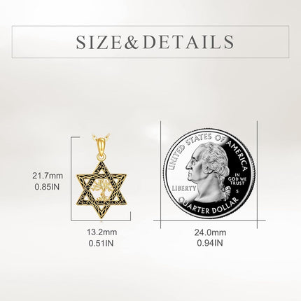 14K Gold Cross in Star of David Pendant Necklace Judaica s for Men & Women