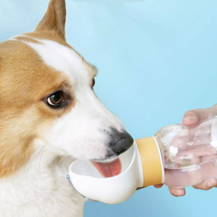 648b5aa0-e67a-4842-9b97-d8fe05c771ea-Max-Origin