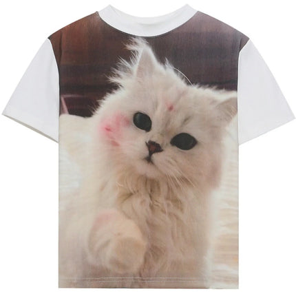 6d05eb7ad17c4717b8d3a92d18e3a13b-Max-Origin