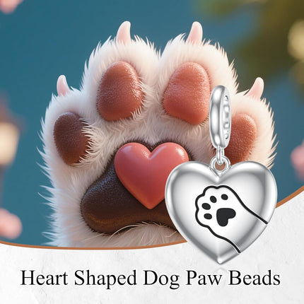 925 Sterling Silver CZ Cat Paw Charm Bracelet for Women Men, Dangle Pet Lover Gift for Her Him, Hypoallergenic Nickel-Free Jewelry for Valentine Mother's Day