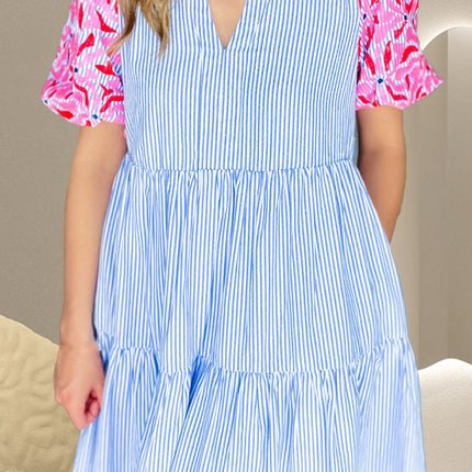 Embroidered Striped Notched Short Sleeve Dress