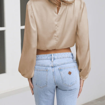 Turtleneck Balloon Sleeve Blouse