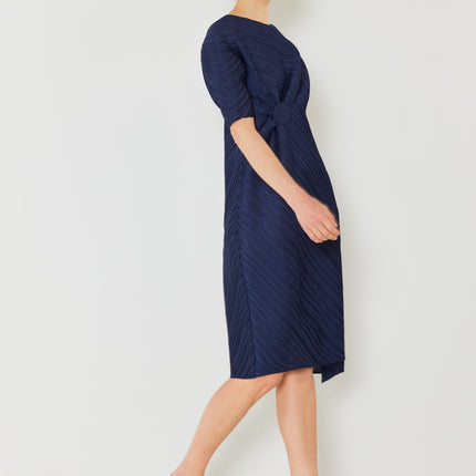 Marina West Swim Pleated Dolman Sleeve Dress