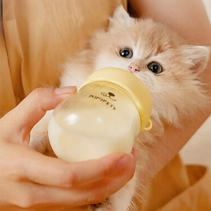 84e724ae-f50c-4d22-82f0-6aa0d81268d5-Max-Origin