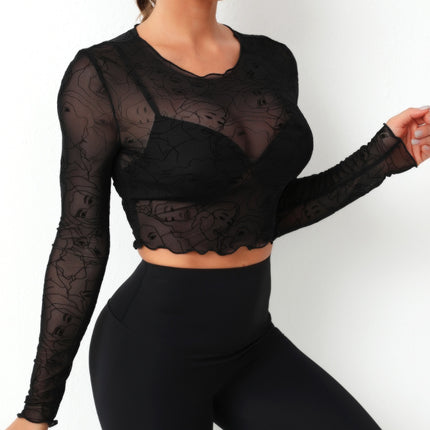 Round Neck Long Sleeve Sheer Top