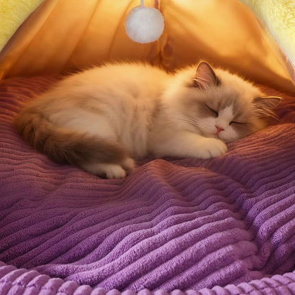 8dce74fe-ed2f-4c1a-a67c-0276dc363deb-Max-Origin