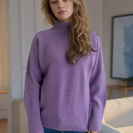 Turtleneck Raglan Sleeve Sweater