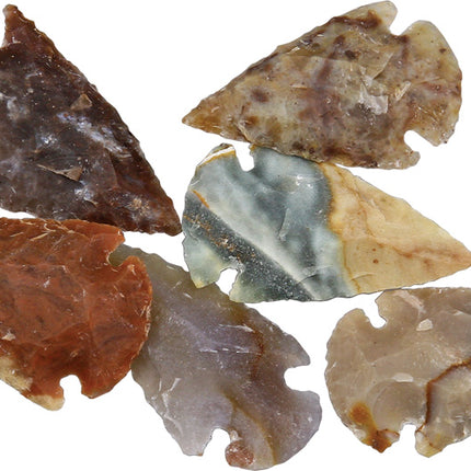 Arrowhead Assortment - Small