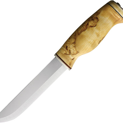 Bear Fixed Blade Curly Birch