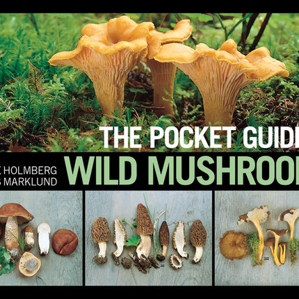 Pocket Guide To Wild Mushrooms