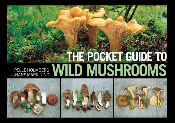 Pocket Guide To Wild Mushrooms