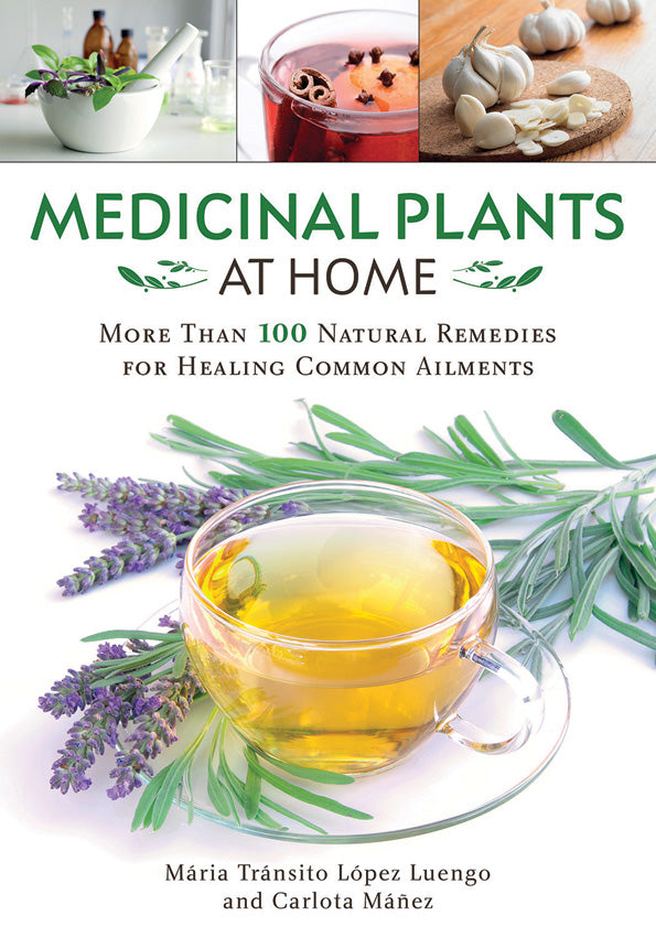 Medicinal Plants At Home