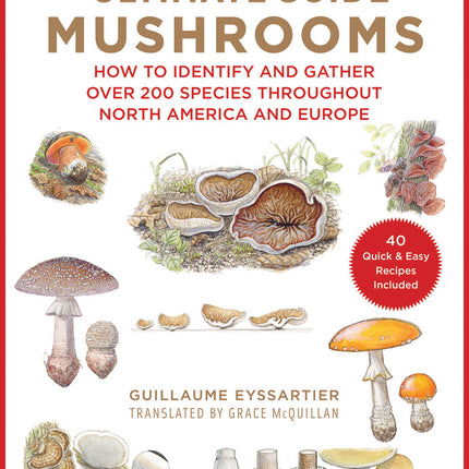 Ultimate Guide To Mushrooms