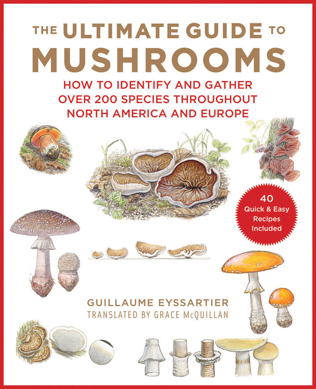 Ultimate Guide To Mushrooms