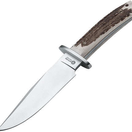 Arbolito Esculta Stag