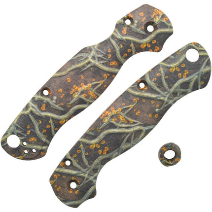 Para 2 Roots Scales