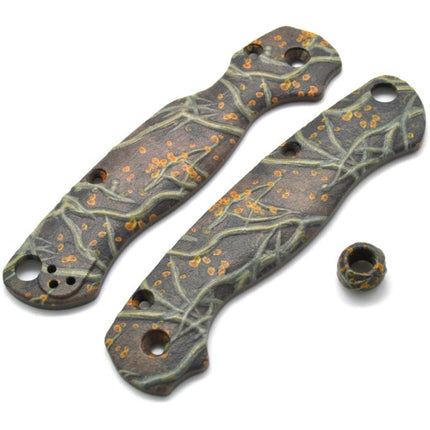 Para 2 Roots Scales