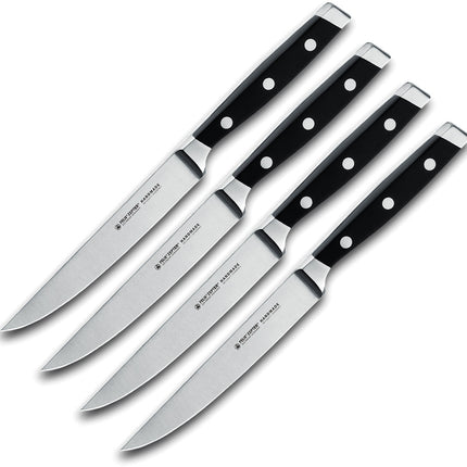 4pc Steak Knife Set