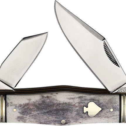 Swell Center Appaloosa