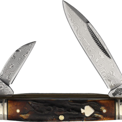 Capitol Intern Cinn Bone Dam