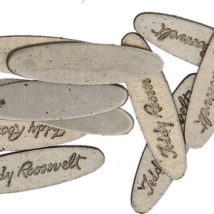 Teddy Roosevelt Shield