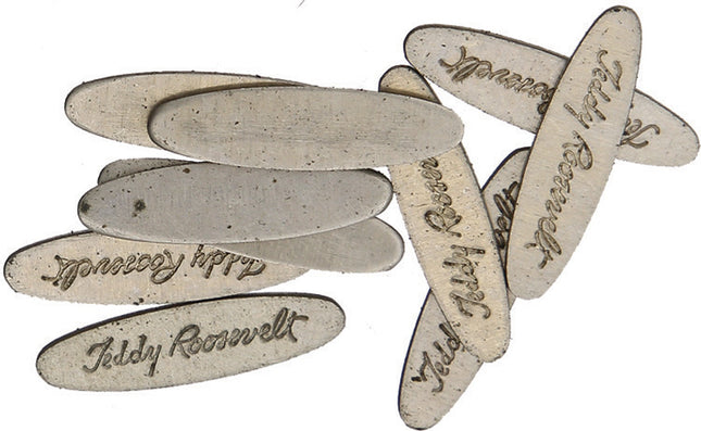 Teddy Roosevelt Shield