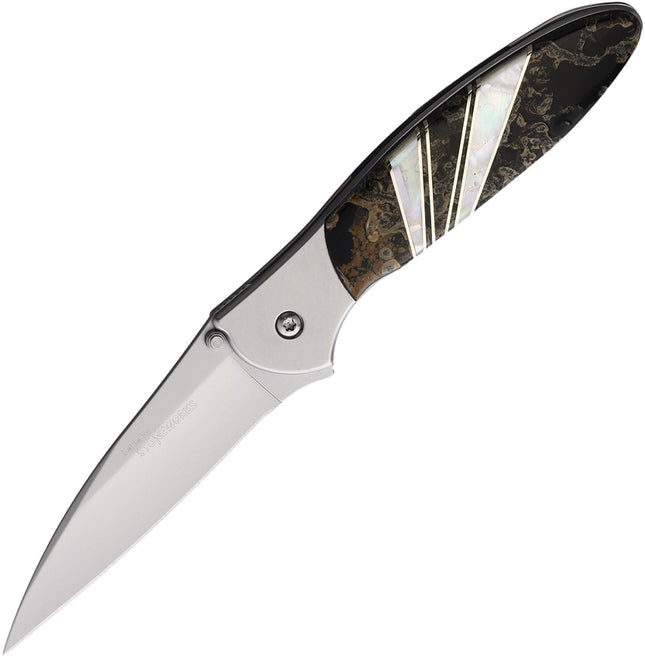 Kershaw Leek Framelock Blk