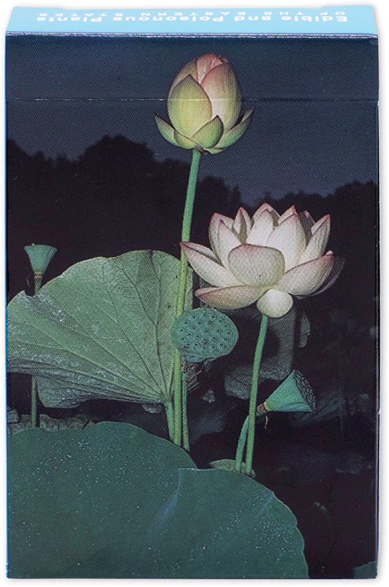 Edible and Poisonous ID Cards