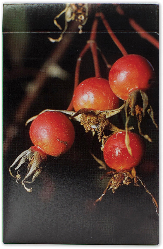 Edible and Poisonous ID Cards